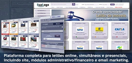Sistema para leil&otilde;es - Programador free lancer - Desenvolvimento de sistemas